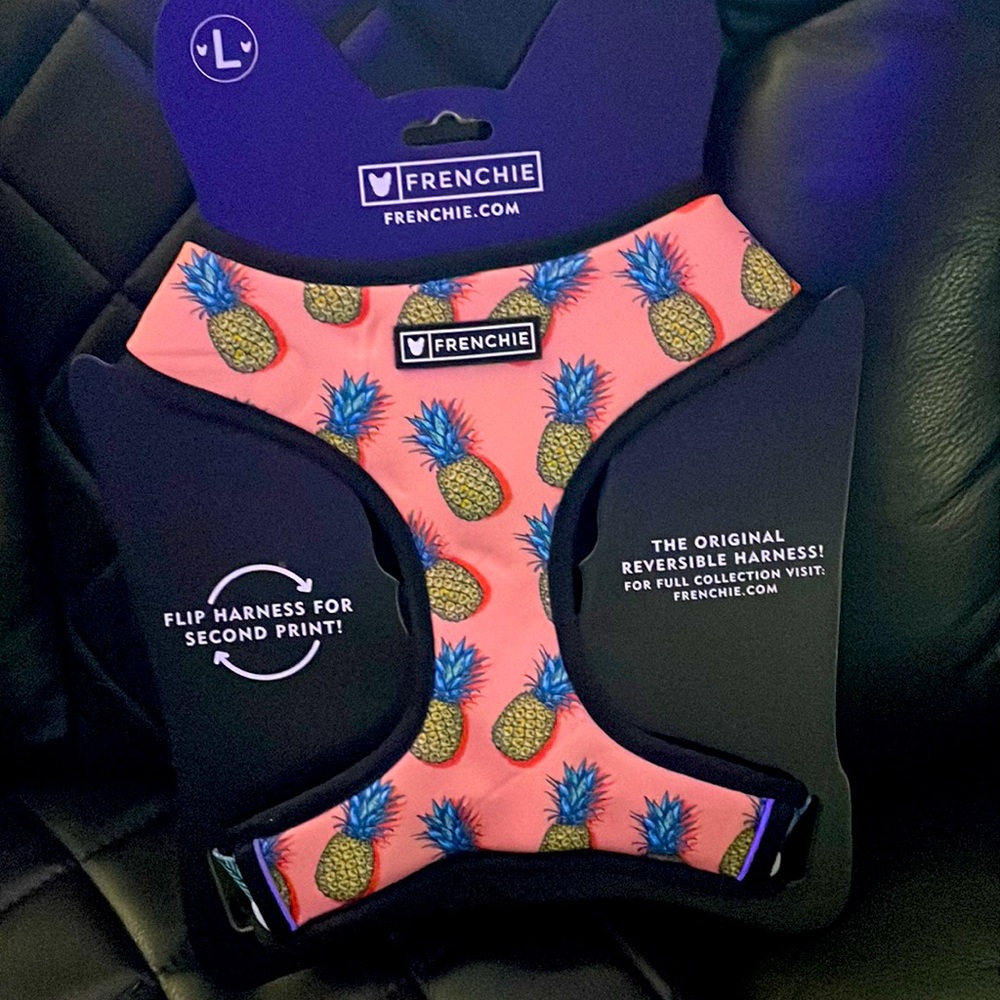 Frenchie Dog Harness